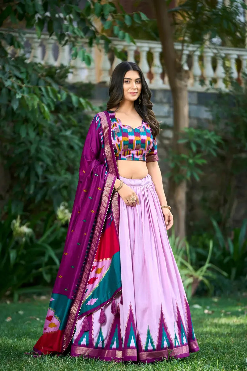 Blissful Elegance Lehenga Choli