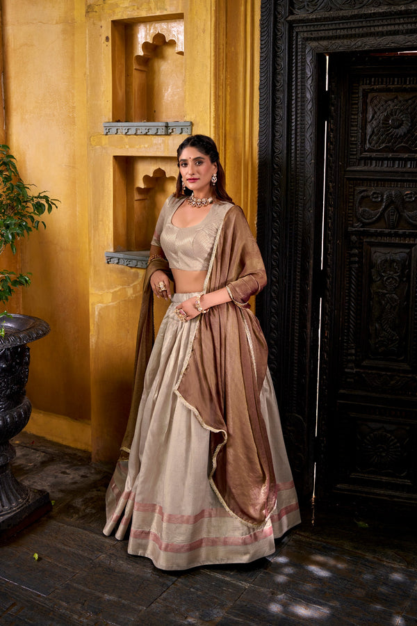 Beige Dupion Silk Lehenga Choli Set with Mocha Shimmer Dupatta