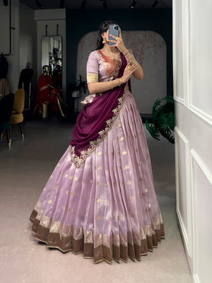 Pink Paithani Border Lehenga Choli Set with Ruby Rani Pink Dupatta