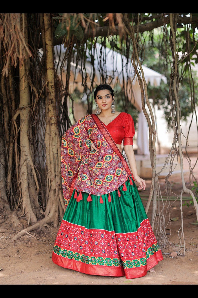 Magical Wedding Vibes Traditional Dola Silk Lehenga Choli