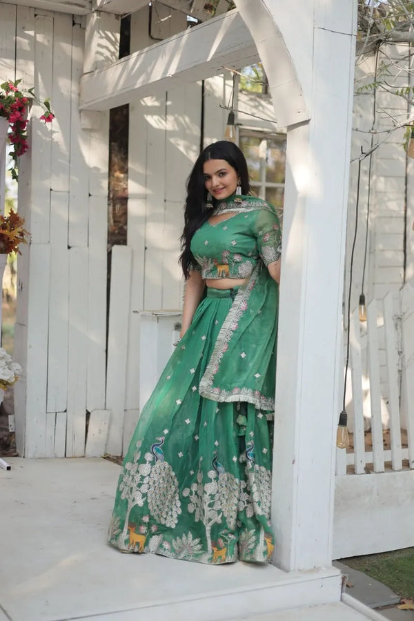 Chinon and Sequin Embroidered Lehenga Choli for Women