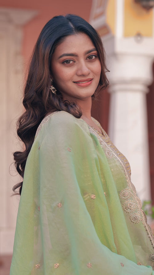 Pastel Gold NC Moss Silk Lehenga Choli Set with Sage Green Dupatta product reel