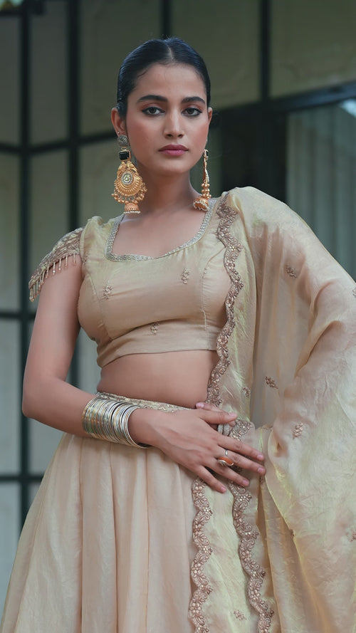 Beige Sequin Embroidered Fendi Lehenga Choli Set product reel