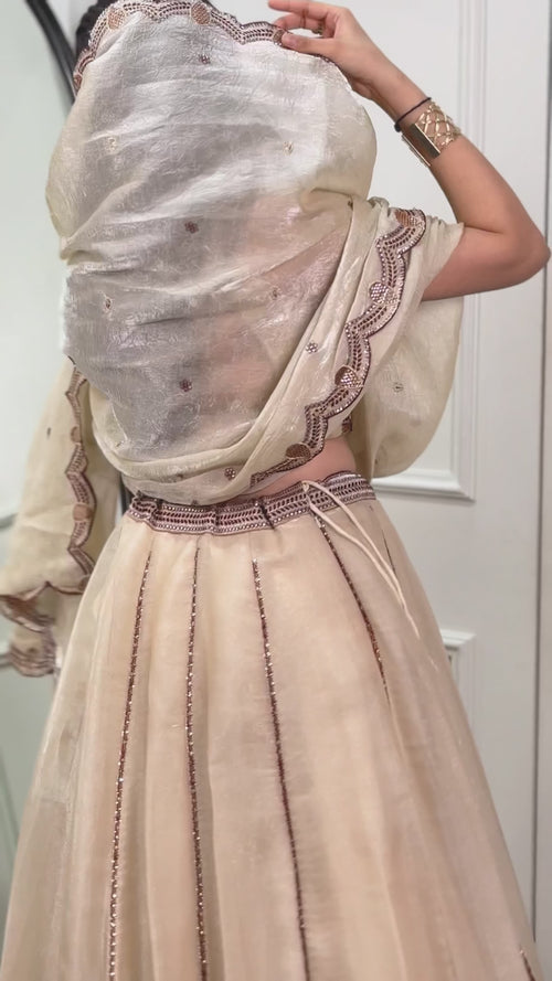 Beige Spider Crush Embroidered Lehenga Choli Set product reel