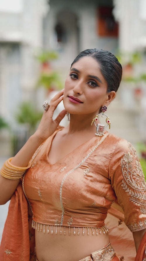 Rust Sequin Embroidered Fendi Lehenga Choli Set product reel